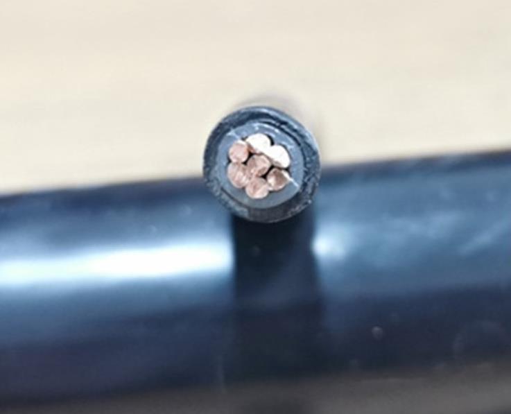 環市牌電纜廠的環保與可持續發展實踐可以從以下幾個方面考慮 環市牌電纜廠的環保與可持續發展實踐可以從以下幾個方面考慮